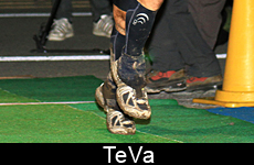TeVa